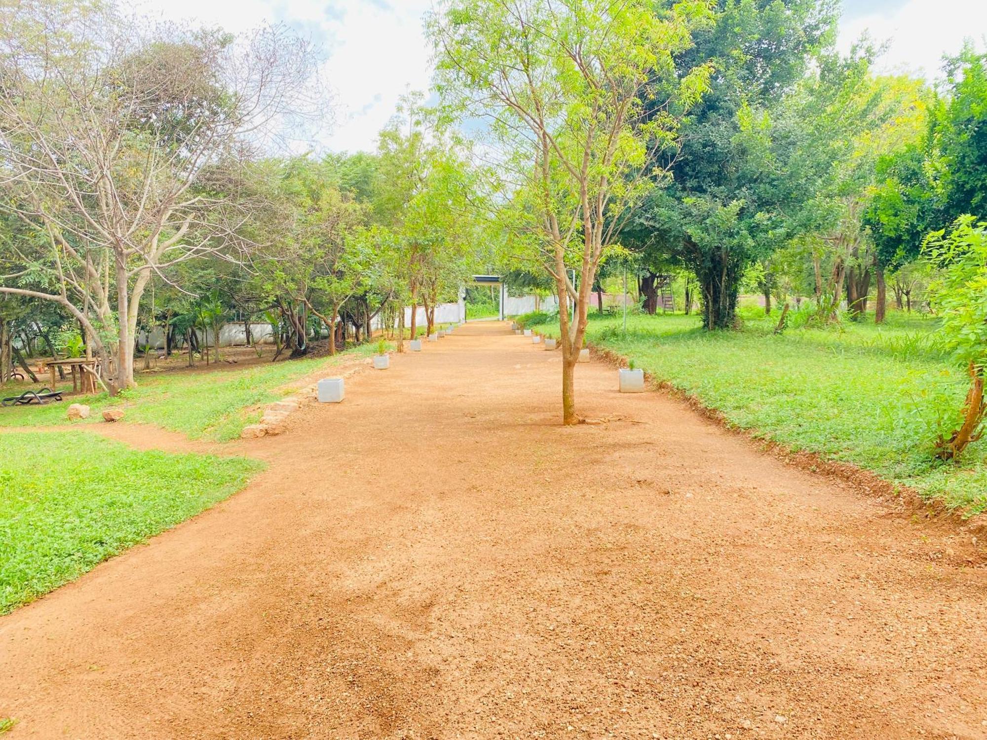 Ima Villa Sigiriya Exterior foto