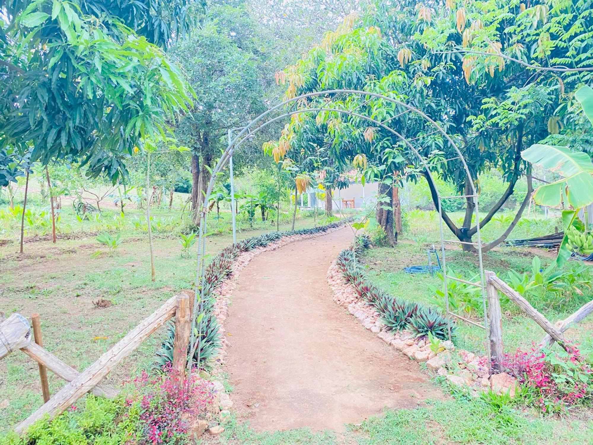 Ima Villa Sigiriya Exterior foto